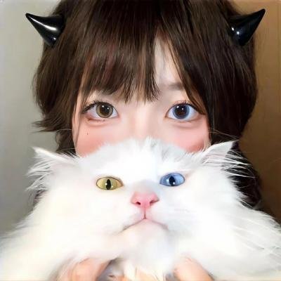 了不起的菲丽西